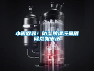知識百科小雨霏霏！防潮防濕還是用除濕機靠譜