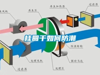 常見問題桂圓干如何防潮