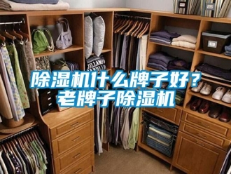 企業新聞除濕機什么牌子好？老牌子除濕機