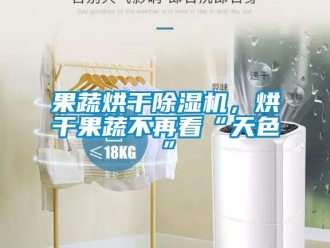 行業(yè)新聞果蔬烘干除濕機，烘干果蔬不再看“天色”