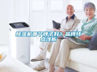 企業新聞除濕機哪個牌子好？品牌特點淺析
