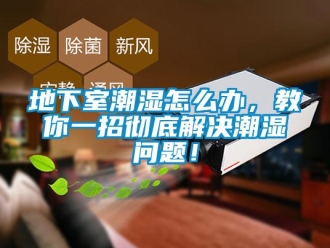 常見問題地下室潮濕怎么辦，教你一招徹底解決潮濕問題！