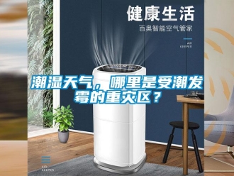企業(yè)新聞潮濕天氣，哪里是受潮發(fā)霉的重災(zāi)區(qū)？