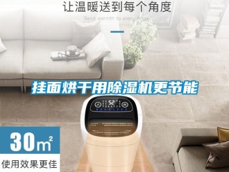 企業(yè)新聞掛面烘干用除濕機更節(jié)能