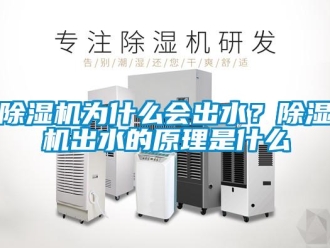 企業(yè)新聞除濕機(jī)為什么會出水？除濕機(jī)出水的原理是什么