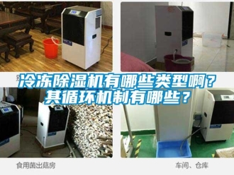 行業新聞冷凍除濕機有哪些類型啊？其循環機制有哪些？