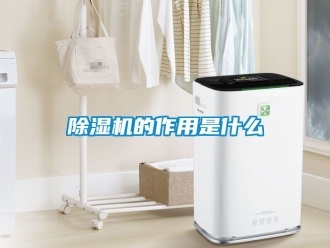 企業新聞除濕機的作用是什么