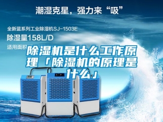 行業新聞除濕機是什么工作原理「除濕機的原理是什么」