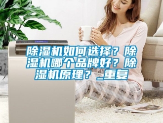 企業新聞除濕機如何選擇？除濕機哪個品牌好？除濕機原理？_重復