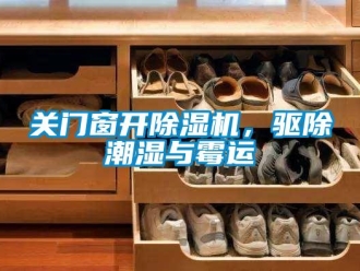 企業(yè)新聞關(guān)門窗開(kāi)除濕機(jī)，驅(qū)除潮濕與霉運(yùn)