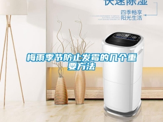 行業新聞梅雨季節防止發霉的幾個重要方法