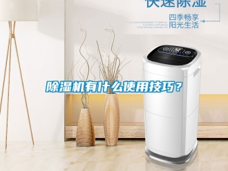 行業(yè)新聞除濕機(jī)有什么使用技巧？