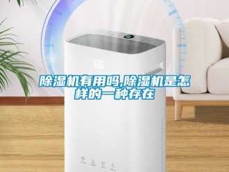 行業新聞除濕機有用嗎,除濕機是怎樣的一種存在