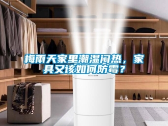 常見問題梅雨天家里潮濕悶熱，家具又該如何防霉？
