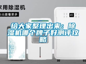行業新聞給大家整理出來：除濕機哪個牌子好測評攻略