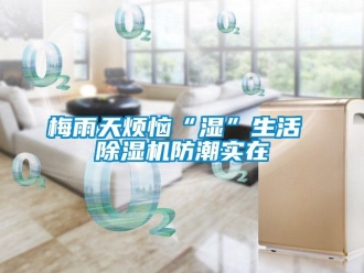 行業(yè)新聞梅雨天煩惱“濕”生活 除濕機防潮實在
