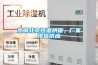 熱銷北京恒溫烘箱，廠家現貨供應