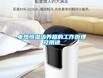 知識百科電熱恒溫培養箱的工作原理及用途