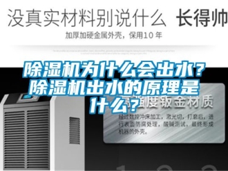 行業(yè)新聞除濕機為什么會出水？除濕機出水的原理是什么？