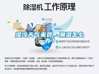 常見問題濕冷天氣來襲，潮濕怎么辦？