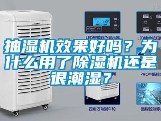 常見(jiàn)問(wèn)題抽濕機(jī)效果好嗎？為什么用了除濕機(jī)還是很潮濕？