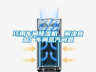 常見問題巧用車間除濕機，解決食品廠車間蒸汽問題