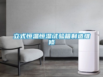 知識百科立式恒溫恒濕試驗箱制造維修