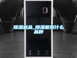 行業新聞除濕機品_除濕機有什么品種