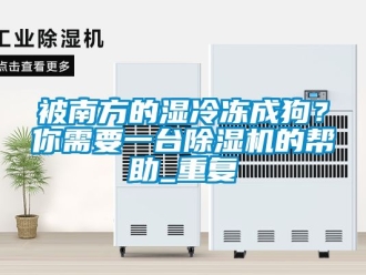 企業新聞被南方的濕冷凍成狗？你需要一臺除濕機的幫助_重復