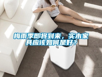 常見問題梅雨季即將到來，實木家具應該如何是好？