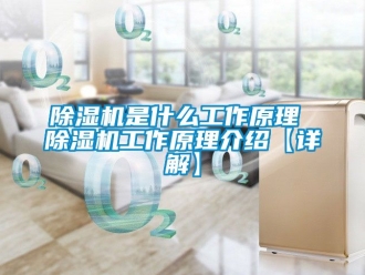 行業新聞除濕機是什么工作原理 除濕機工作原理介紹【詳解】