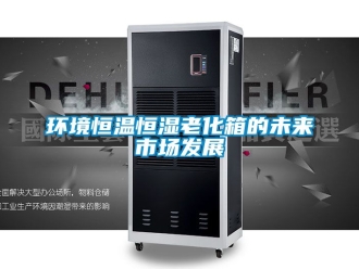 知識百科環境恒溫恒濕老化箱的未來市場發展