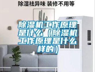 行業(yè)新聞除濕機工作原理是什么（除濕機工作原理是什么樣的）