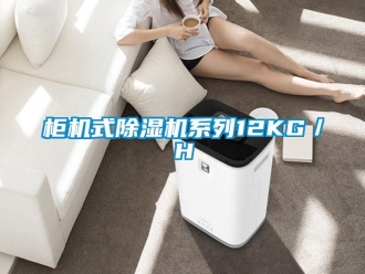 行業新聞柜機式除濕機系列12KG／H