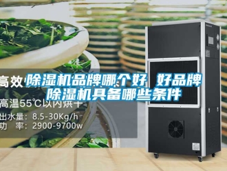 企業新聞除濕機品牌哪個好 好品牌除濕機具備哪些條件