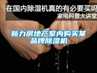 知識百科新力房地產室內購買某品牌除濕機