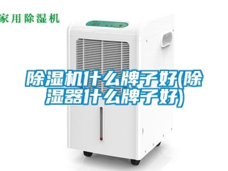 行業新聞除濕機什么牌子好(除濕器什么牌子好)