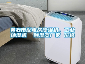 企業(yè)新聞黃石市配電房除濕機(jī)，工業(yè)抽濕機(jī)  除濕器廠家 價(jià)格