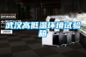 武漢高低溫環境試驗箱