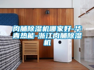 行業新聞肉脯除濕機哪家好-華青熱能-浙江肉脯除濕機