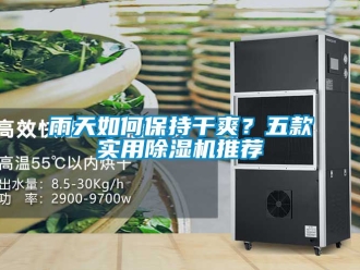 行業新聞雨天如何保持干爽？五款實用除濕機推薦