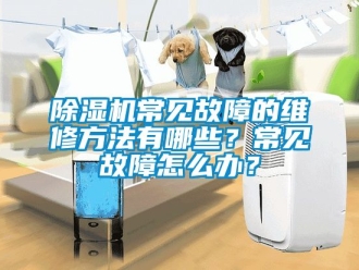 企業新聞除濕機常見故障的維修方法有哪些？常見故障怎么辦？