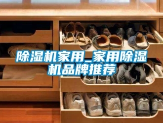 企業(yè)新聞除濕機(jī)家用_家用除濕機(jī)品牌推薦