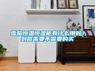 知識百科雪茄恒溫恒濕柜有什么用嗎？到底需要不需要購買
