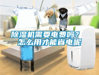 行業(yè)新聞除濕機(jī)需要電費(fèi)嗎？ 怎么用才能省電呢
