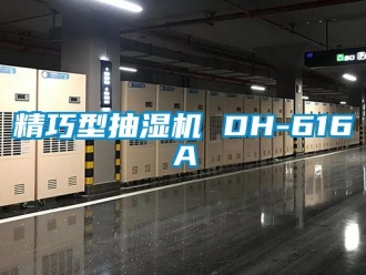 企業(yè)新聞精巧型抽濕機(jī) DH-616A