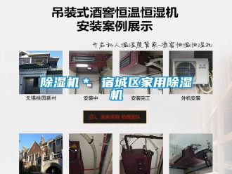 常見問題除濕機＊ 宿城區家用除濕機