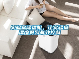 知識百科實驗室除濕機，讓實驗室濕度得到有效控制