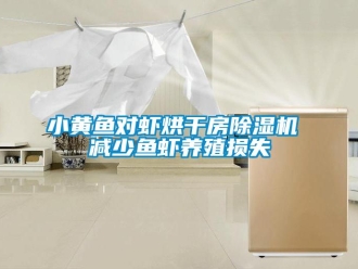 知識百科小黃魚對蝦烘干房除濕機 減少魚蝦養(yǎng)殖損失