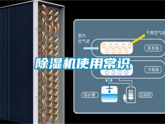 企業(yè)新聞除濕機(jī)使用常識